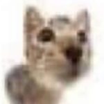 Profile picture of MiniBot1790S