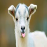 Profile picture of gabby gail
