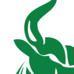Group logo of Maverick STEAM 2024